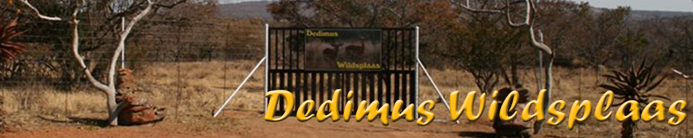 DedimusLogo